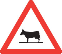 Tiere Nr. 1.25